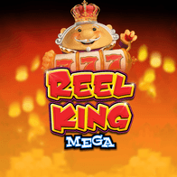 Reel King Mega screenshot