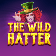 The Wild Hatter game icon